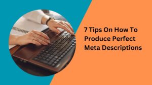 7 Tips On How To Produce Perfect Meta Descriptions
